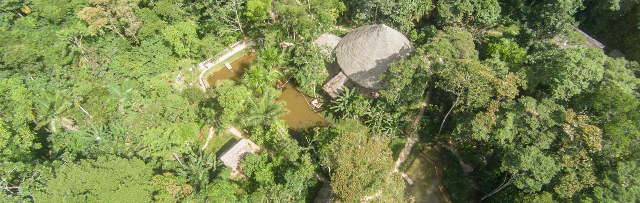 9 and 12 Day Ayahuasca Retreat Center