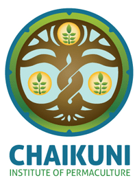 Chaikuni-Logo