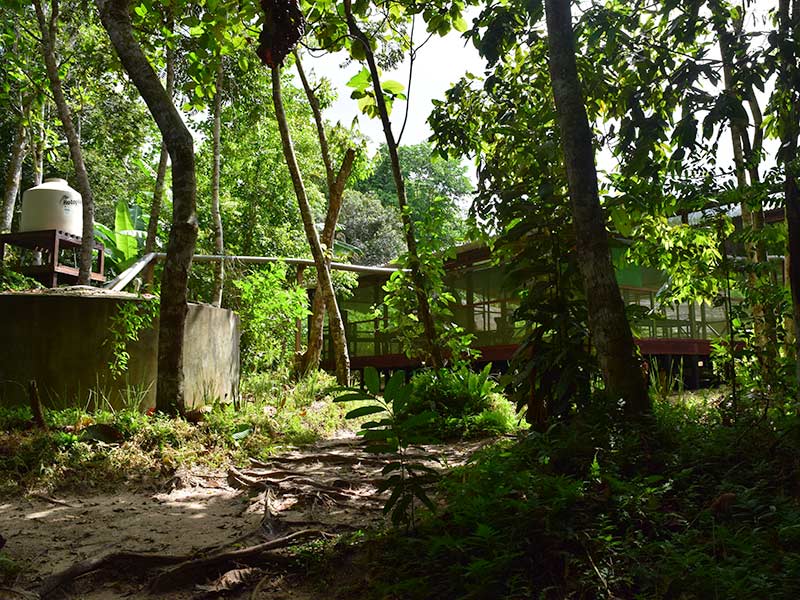 Rainwater Harvesting - Temple of the Way of Light 
