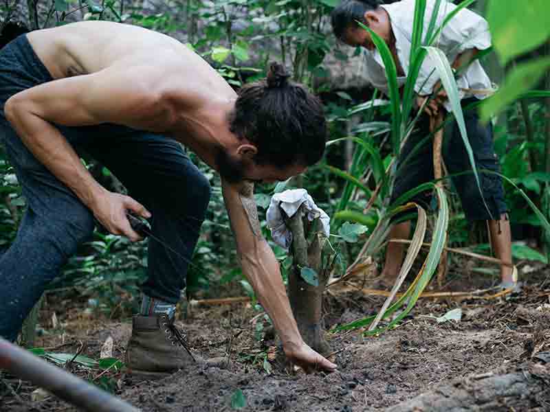 Permaculture_and_Community_26