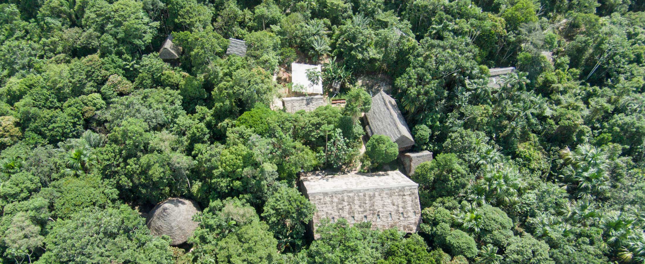 Ayahuasca_Tourism
