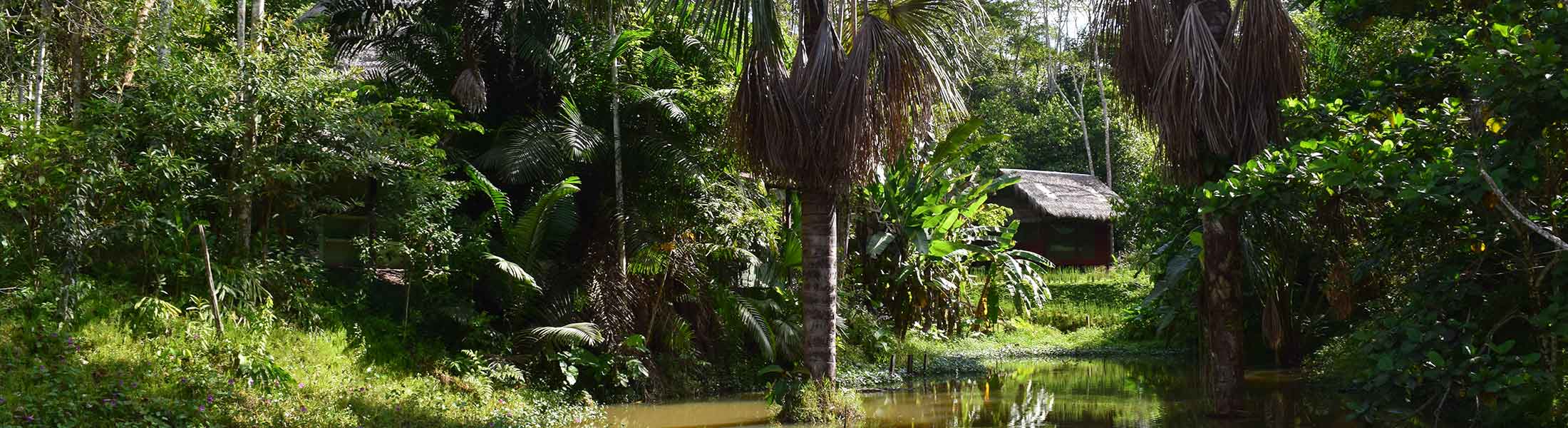 12_Day_Ayahuasca_Retreat_1p