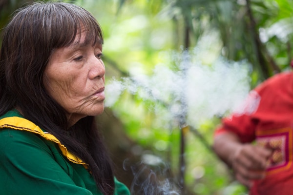 Ayahuasca_Retreats_Ynes_Jose_1