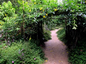79_Temple_of_the_Way_of_Light_General_Images