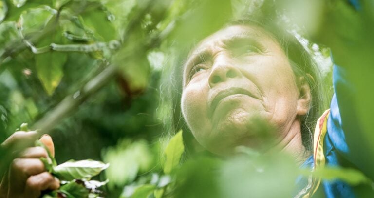 Genuine Ayahuasca Healing