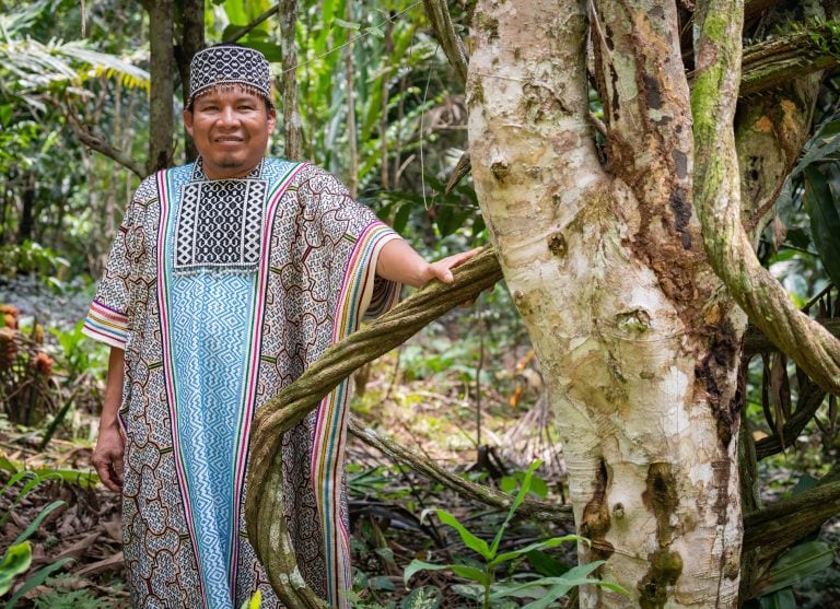 Ayahuasca Shamanism in Amazonian Rainforest