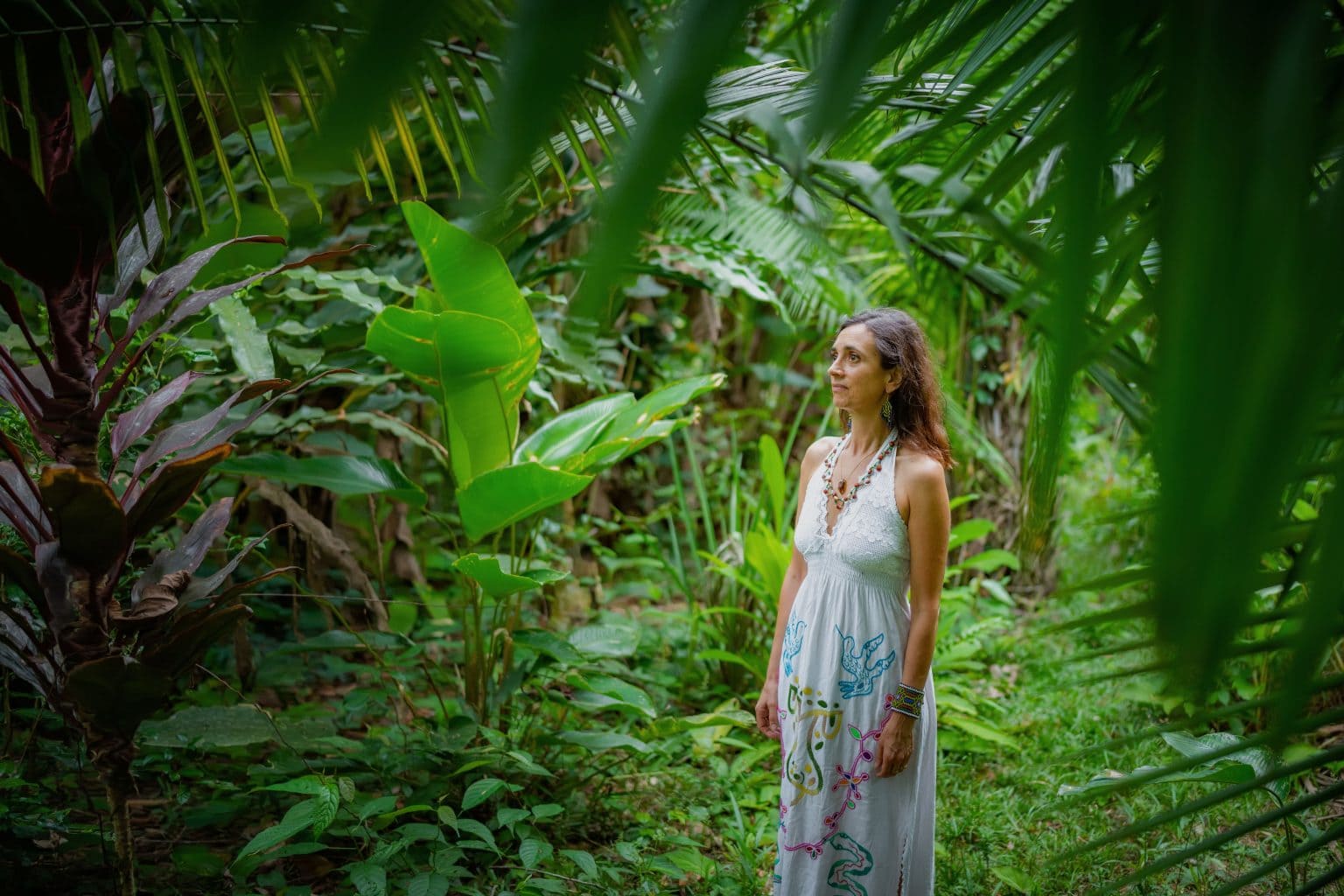 ayahuasca integration
