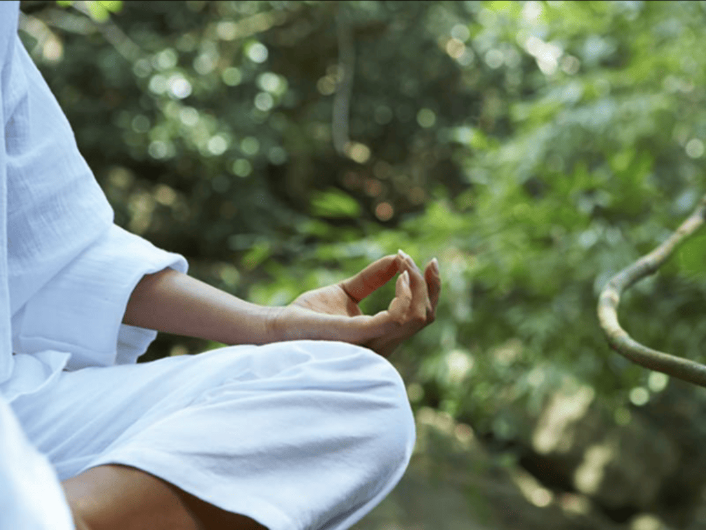 Ayahuasca Preparation