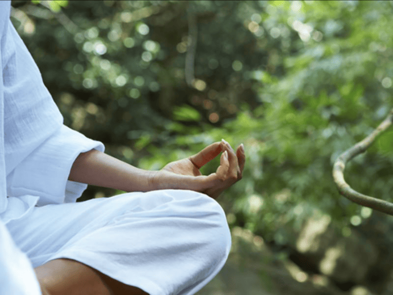 Ayahuasca Preparation