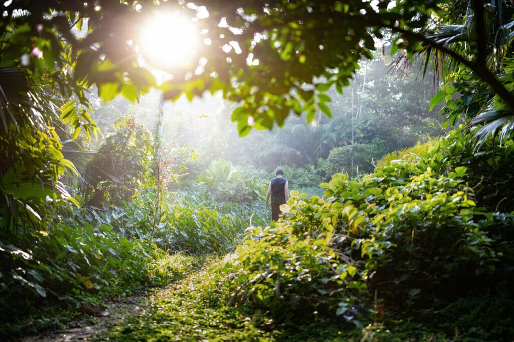 The Temple Integration Program - Navigating the Ceremony of Life