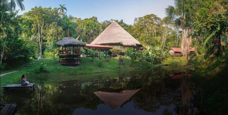 ayahuasca retreat costs