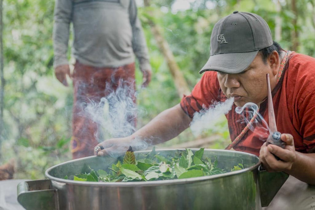 Shipibo Ayahuasca