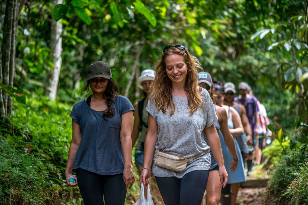 thoare.temple.2017 2783 of 2991