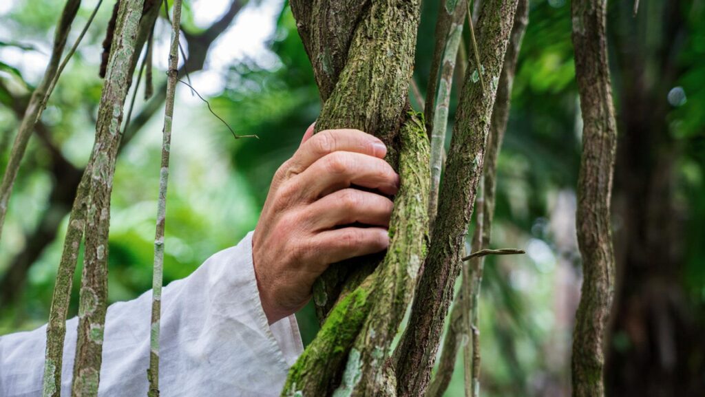 Temple of the Way of Light 79 1 e1776370473257