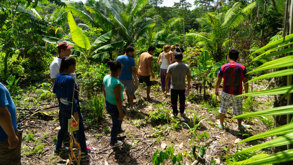 Temple of the Way of Light Permaculture 30 e1778518380915