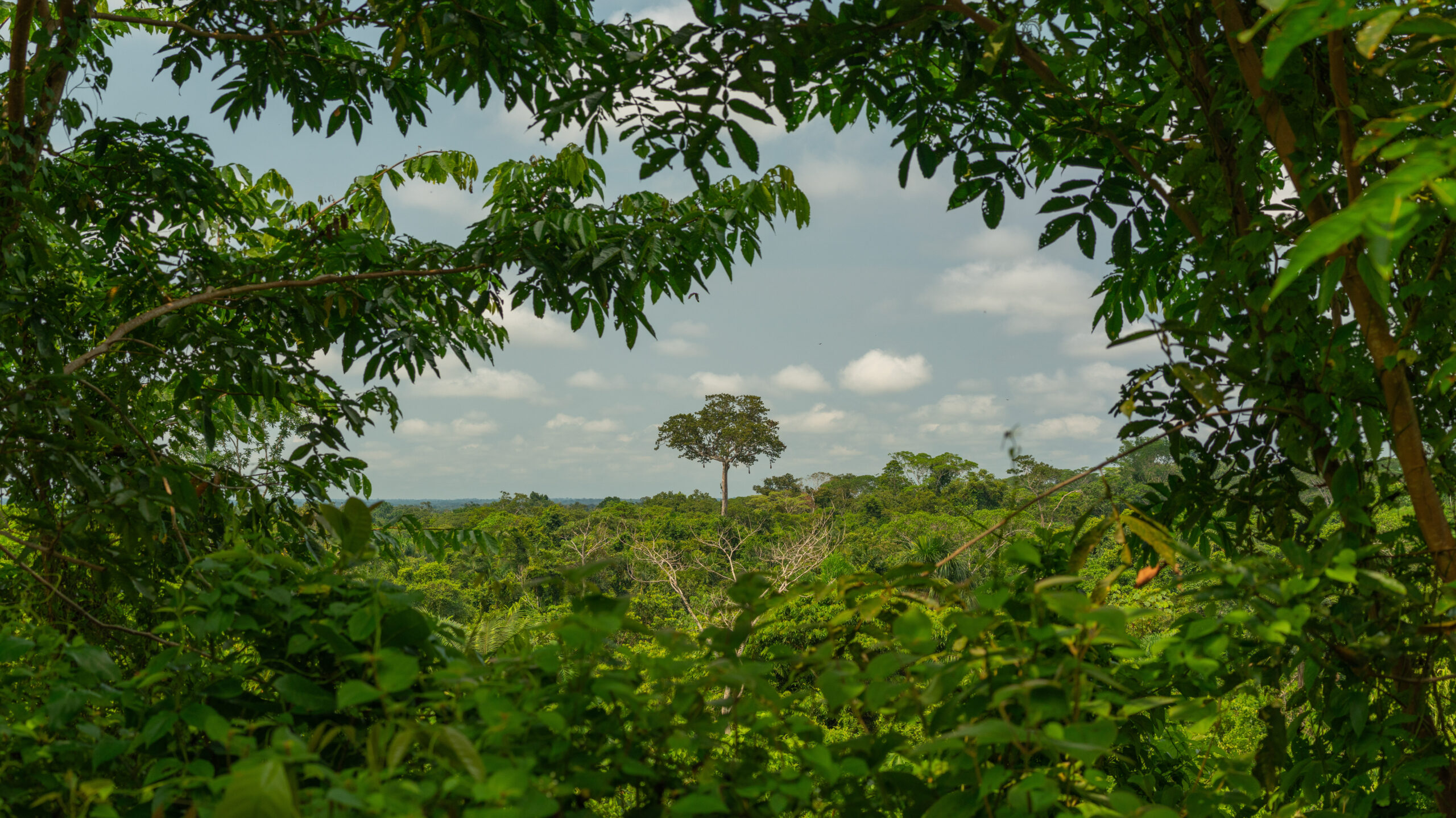 Temple of the Way of Light Temple Grounds 23 edited scaled