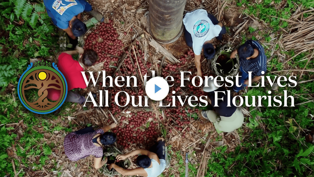 Youtube Thumbnails CHAIKNUIFOREST