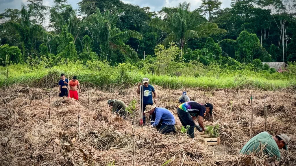 image 3 4